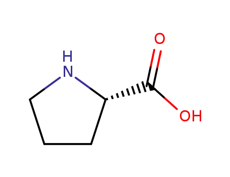 <i>L</i>-proline